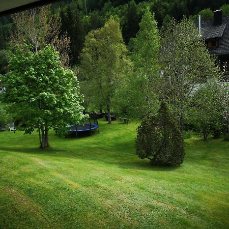 B1 Albmatte-Fewo Sauna, Hallenbad Aussenbecken Massagen Nebenan Менценшванд Экстерьер фото