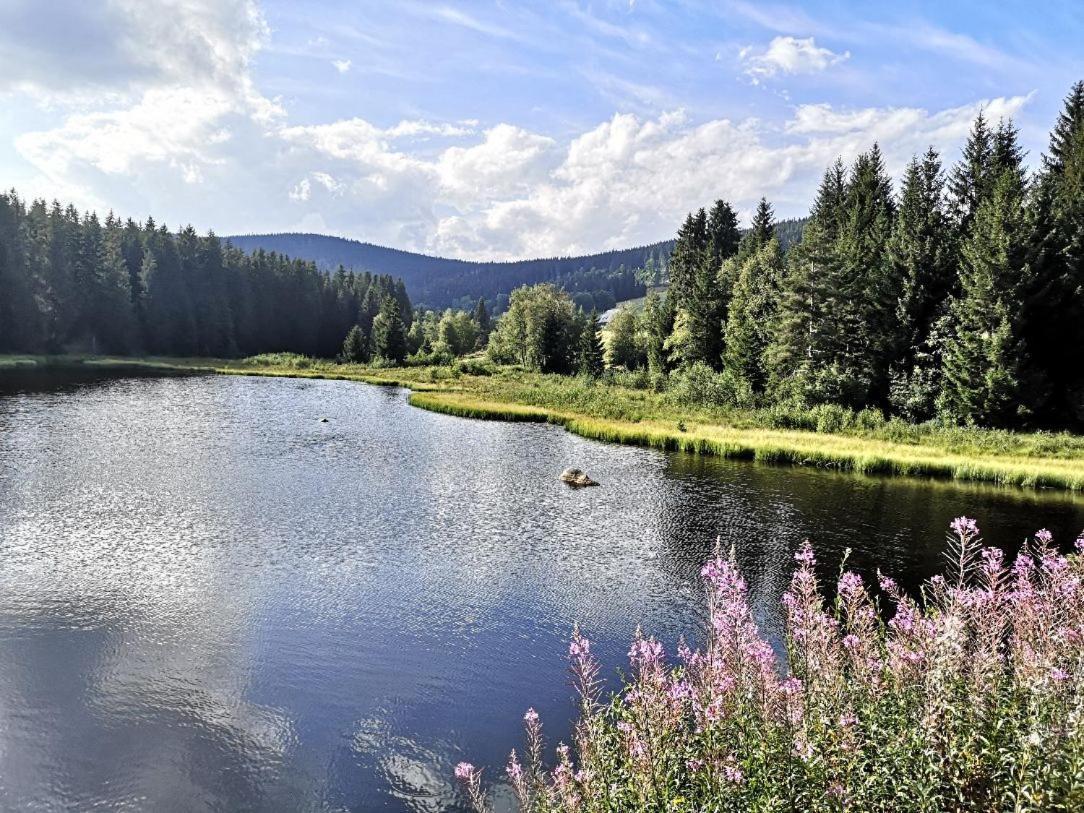 B1 Albmatte-Fewo Sauna, Hallenbad Aussenbecken Massagen Nebenan Менценшванд Экстерьер фото