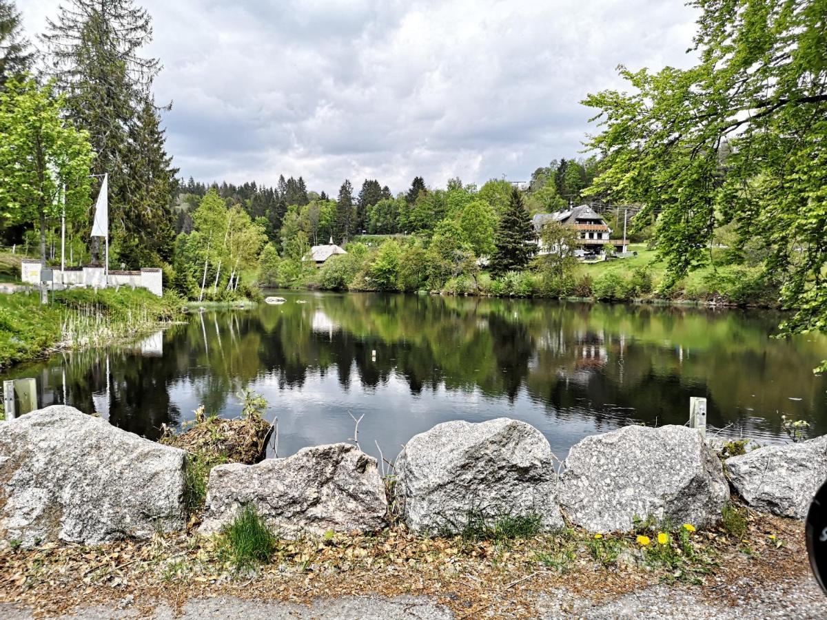 B1 Albmatte-Fewo Sauna, Hallenbad Aussenbecken Massagen Nebenan Менценшванд Экстерьер фото