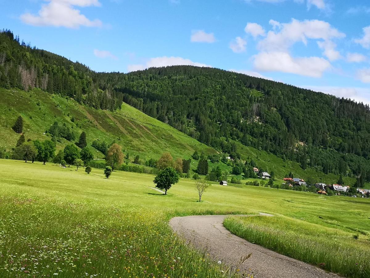B1 Albmatte-Fewo Sauna, Hallenbad Aussenbecken Massagen Nebenan Менценшванд Экстерьер фото
