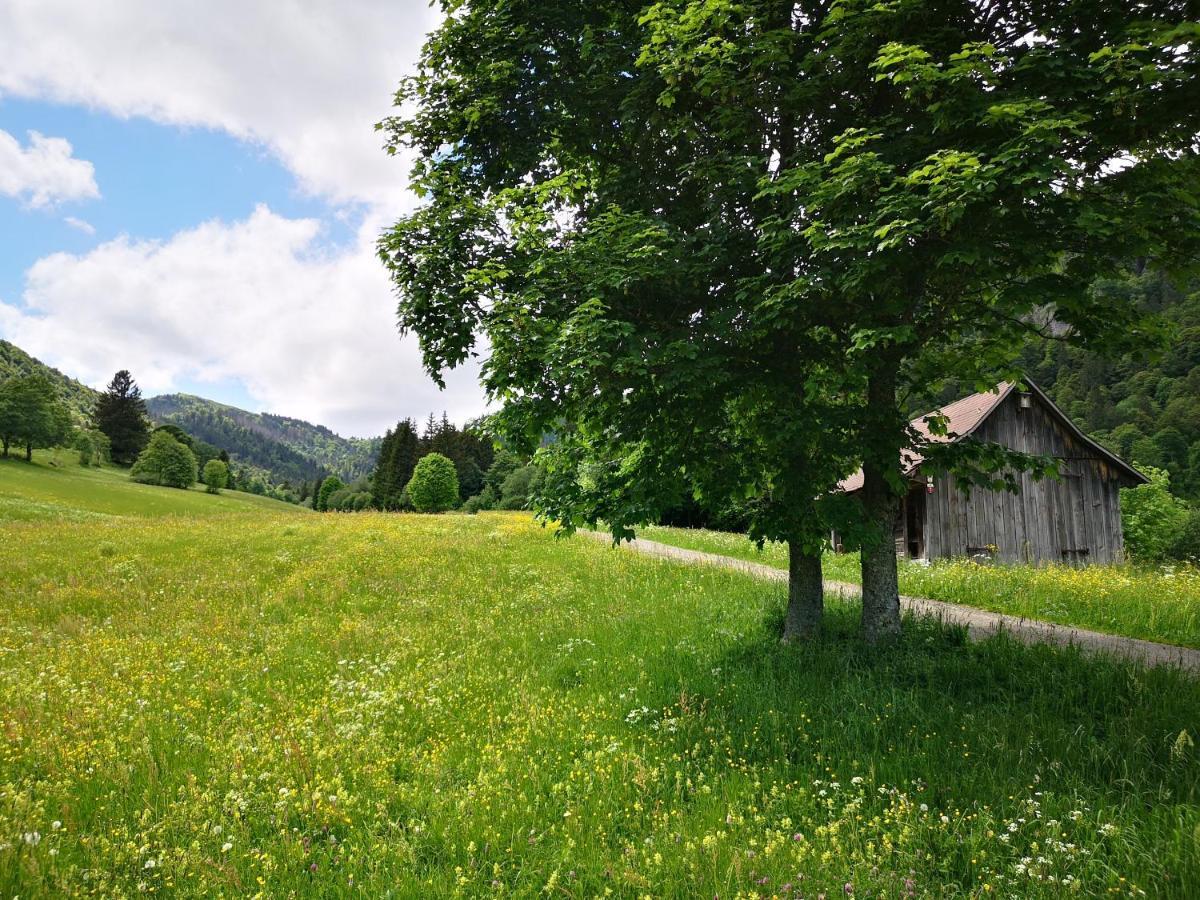 B1 Albmatte-Fewo Sauna, Hallenbad Aussenbecken Massagen Nebenan Менценшванд Экстерьер фото