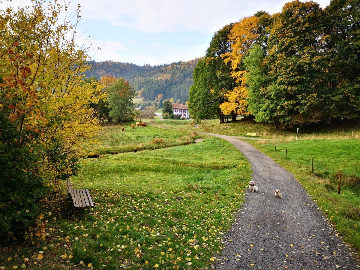 B1 Albmatte-Fewo Sauna, Hallenbad Aussenbecken Massagen Nebenan Менценшванд Экстерьер фото