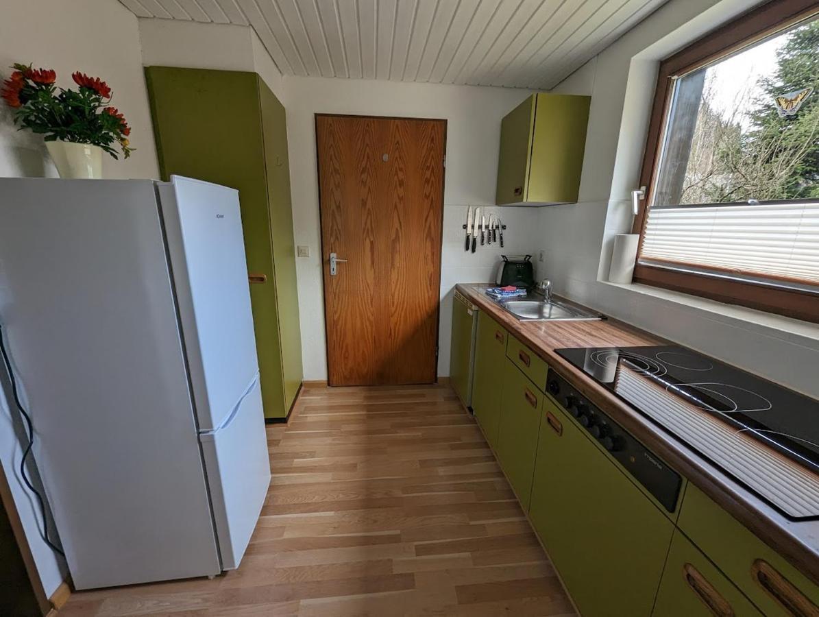 B1 Albmatte-Fewo Sauna, Hallenbad Aussenbecken Massagen Nebenan Менценшванд Экстерьер фото