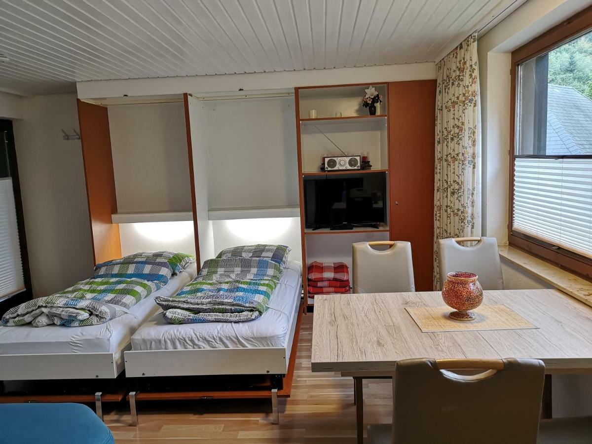 B1 Albmatte-Fewo Sauna, Hallenbad Aussenbecken Massagen Nebenan Менценшванд Экстерьер фото